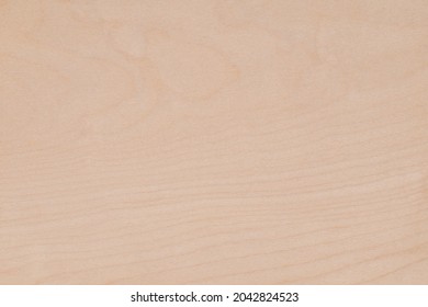 Texture Of  Sycamore Wood Veneer