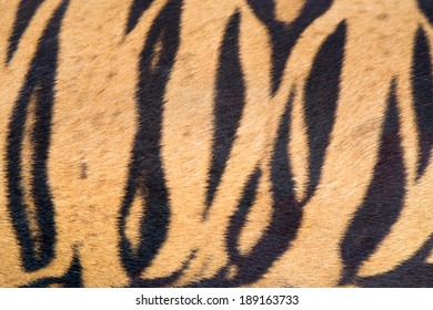 Ahnliche Bilder Stockfotos Und Vektorgrafiken Von Jaguar Leopard Fantasy Fabric Fur Texture Background Shutterstock