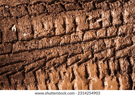 Texture of the trace from the car on the mud. dirt road after the rain Close-up. natural light, bright sunshine. Super-detailed background. Macro