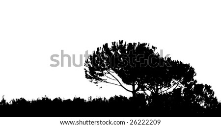 Similar – Image, Stock Photo Windy today Environment