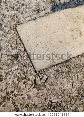 Texture tree background closeout nature