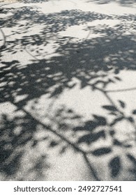 Texture of tree shadow on the ground
