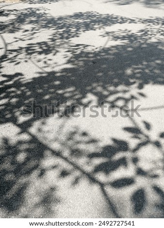 Texture of tree shadow on the ground

