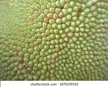 Texture Of Tropical Jackfruit Skin Surface