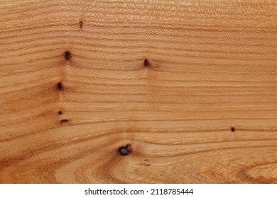 Texture Of Valuable Natural Wood Species