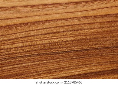 Texture Of Valuable Natural Wood Species