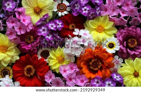 Texture of various flowers, top view.  Floral colorful summer background, bouquet. Phlox, dahlias and zinnias.