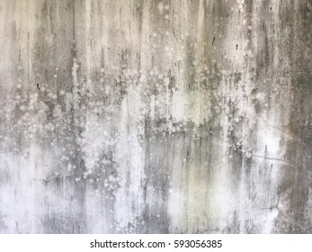 Texture wall - Shutterstock ID 593056385