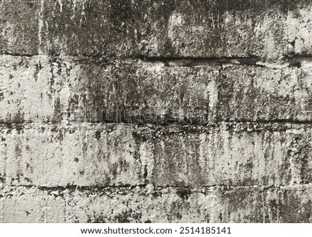 texture of wall background. mossy brick wall texture. oldnest background black and white
