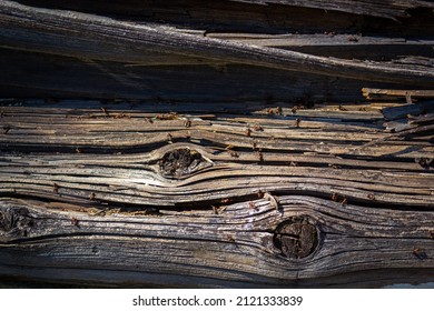 Texture of weathered log with ants - Shutterstock ID 2121333839