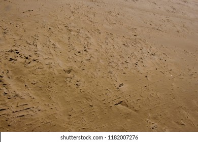 Texture Of Wet Sand