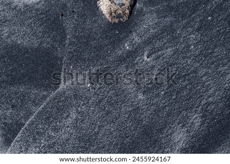 Similar – Image, Stock Photo Dead Dove IV Pigeon Animal