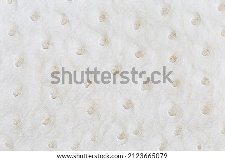 Texture of the white genuine ostrich leather, fragment of the leather product close-up, background 
