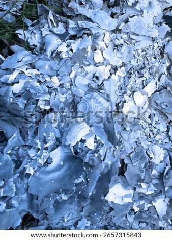 The texture is white gray ash from burnt leaves on the ground. Natural burnt paper.