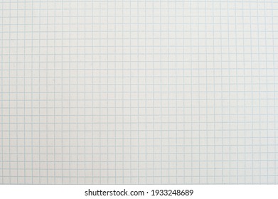 Texture Of White Paper In A Cage, School Notebook. White Background 