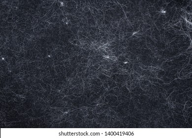 Texture: White Pet Hair On Dark Clothes.