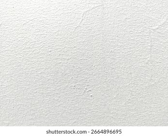 texture of the white rough wall