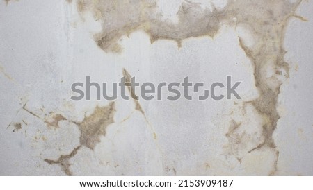 The texture of the white walls is cracked and damp due to seeping and mossy water