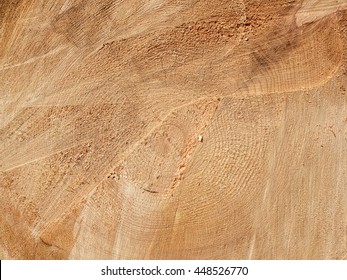 Texture Of Wood, Cross-section Of The Barrel