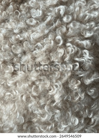 texture wool pattern fabric material fur knitting textured textile, closeup, sheep, close-up, soft, clothing, macro, knit, knitted cloth
