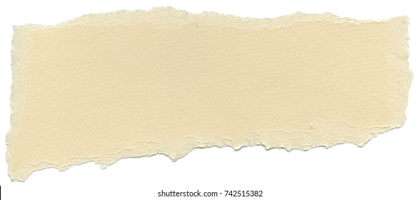Texture of yellow cream fiber paper with torn edges. Isolated on white background.
