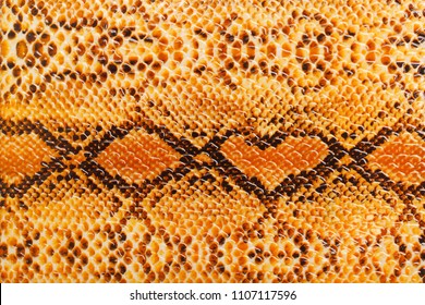 Texture yellow snake skin. Natural heart