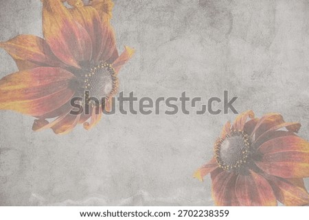 A textured, aged gray background featuring two opposing, softly faded rudbeckia flowers in the corners, creating a worn, decorative frame with ample central copy space.