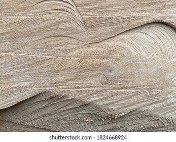 Textured Background Of Cut Magnolia Tree Bark