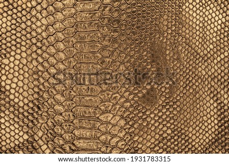 The textured background of a fake snakeskin texture. Golden scale pattern of a reptile