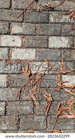 Textured background of gray interlocking paving blocks scattered with dry, curled leaves and debris under natural sunlight
