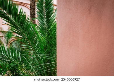 a textured background with pink stucco wall detail and green palm leaves. half and half with modern colours. copy space graphic design background resource for blog articles - Powered by Shutterstock