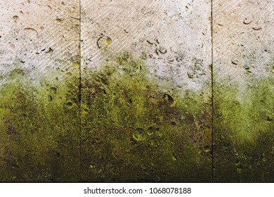 Fungus Mold On Textured Walls Images Stock Photos Vectors Shutterstock