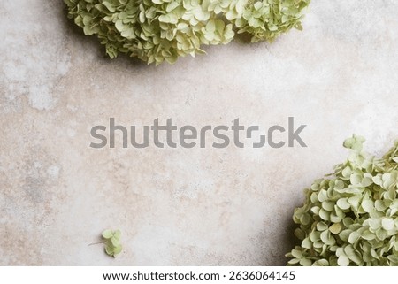 Textured beige stone background bordered with soft green hydrangea flowers and scattered petals, perfect for overlaying text, menus, or design elements