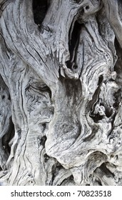 textured close up of driftwood