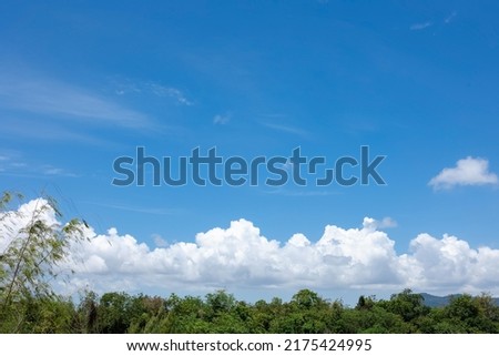 textured of cloud on blue sky with top of green trees at bottom