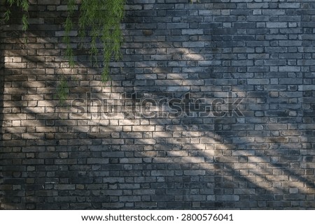 A textured grey brick wall with diagonal shadows and hanging green leaves on the side.