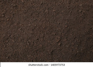 Textured Ground Surface As Background, Top View. Fertile Soil