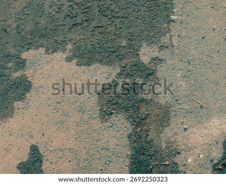 Textured Ground Surface, A close-up view of a textured surface showcasing a blend of earthy tones, with patches of dark and light colors.