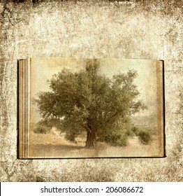 Textured grunge paper background with Old open book and olive tree