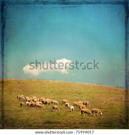 Textured image of grazing sheep on a hillside with blue sky and cloud in the background.