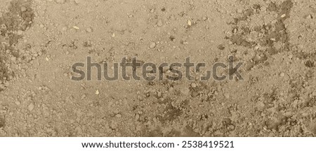 Textured mud or soil background.