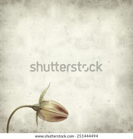 Similar – Foto Bild gattung Blume Pflanze