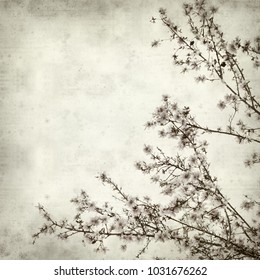 textured old paper background with flowering almond branches - Shutterstock ID 1031676262