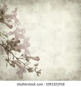 textured old paper background with pink trumpet wine  - Shutterstock ID 1091321918