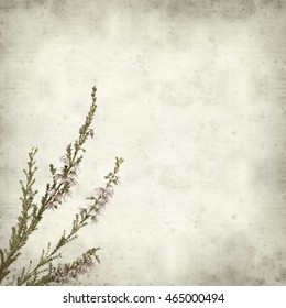 textured old paper background with pink heather flowers - Shutterstock ID 465000494