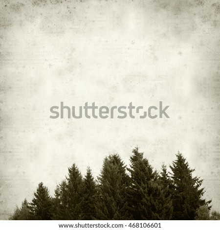 Similar – Image, Stock Photo Christmas tree Environment