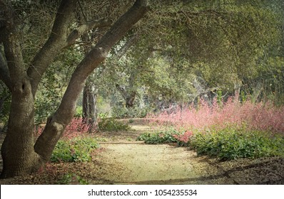 Rancho Santa Ana Botanic Garden Images Stock Photos Vectors