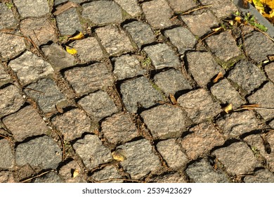 Textured retro stone pavement, natural autumn colored leaves. Cobblestone pavement and fall leaves. Autumn leaves on cobblestone sidewalk. High quality photo - Powered by Shutterstock