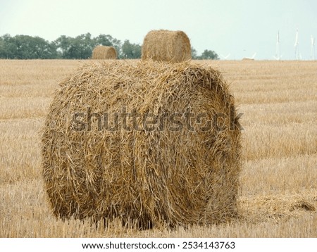 Similar – Image, Stock Photo Late summer rolls