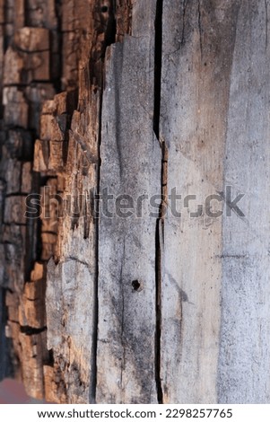 Textured Rotten Wood Board. Rotten Wood Images